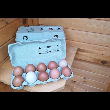 Neu! Landhaus Ostfriesenruhe Berumbur Luaran gambar