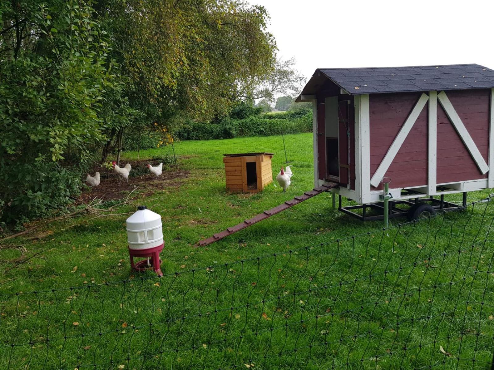 Neu! Landhaus Ostfriesenruhe Berumbur Luaran gambar