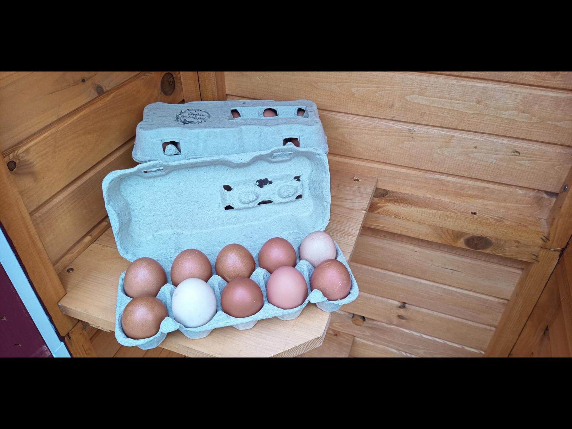 Neu! Landhaus Ostfriesenruhe Berumbur Luaran gambar